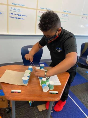 STEM Education at MCSA