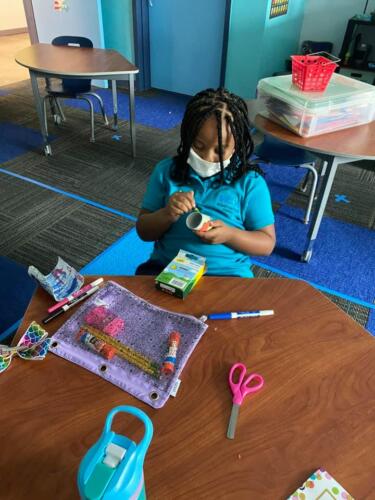 STEM Education at MCSA