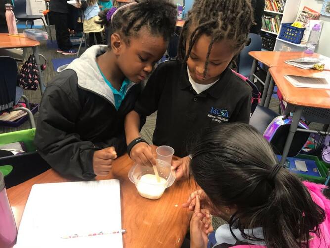 STEM Education at MCSA